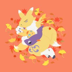 renamon from digimon