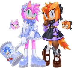 amy rose from sonic (series)