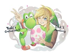 link from nintendo