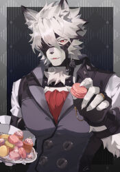von lycaon from zenless zone zero