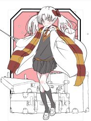 harry potter (series) fan art