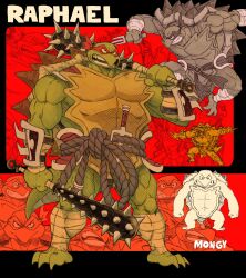 raphael from teenage mutant ninja turtles