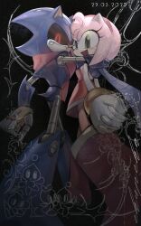 amy rose from sonic (series)