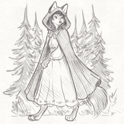 little red riding hood fan art