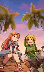 link from nintendo by oishii garriel