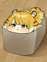 ju fufu from zenless zone zero