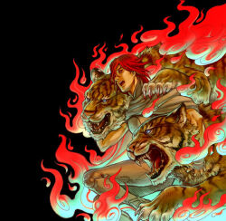heat (dds) from digital devil saga by rebasashi