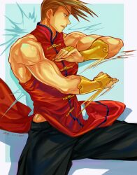 yang lee from street fighter