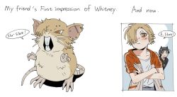 raticate from pokemon