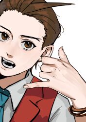 apollo justice from ace attorney