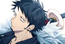 trafalgar law from one piece