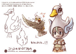 hunter (ragnarok online) from ragnarok online by susukinohukurou