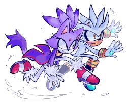 blaze the cat from sonic (series)