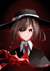 usami renko from touhou