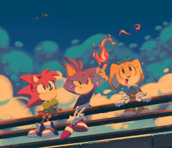 amy rose from sonic (series)