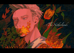 netherlands (hetalia) from axis powers hetalia