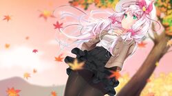Booru post from safebooru.org