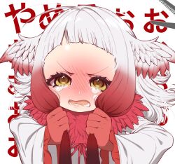 japanese crested ibis (kemono friends) from kemono friends by notora