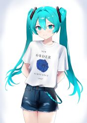 hatsune miku from vocaloid
