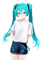 hatsune miku from vocaloid