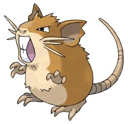 raticate from pokemon by sugimori ken