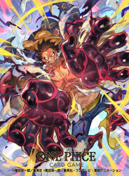 monkey d. luffy from one piece by tapioka chaso