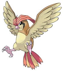 pidgeotto from pokemon by sugimori ken