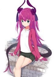 elizabeth bathory (fate) from fate/grand order