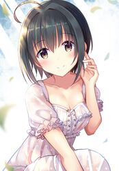 kohinata miho from idolmaster by u rin