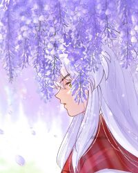 inuyasha (character) from inuyasha
