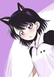 shidou misaki from softenni