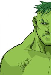 hulk from capcom by bengus