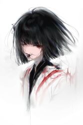 ryoshu (project moon) from limbus company
