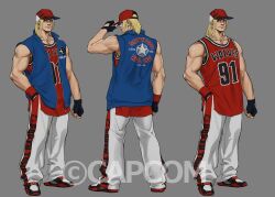 terry bogard from capcom