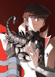 kaiba seto from yu-gi-oh!