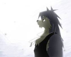 kouya aotsuki from morenatsu