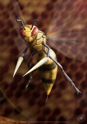 beedrill from pokemon