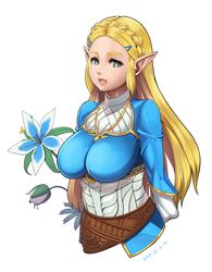princess zelda from the legend of zelda by hero (do-belman)