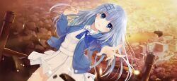 tobiichi origami from date a live