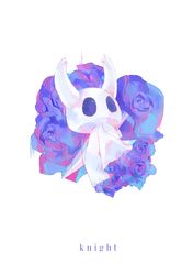 knight (hollow knight) from hollow knight