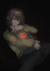 kris (deltarune) from deltarune