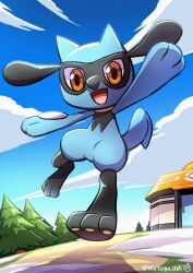 riolu from pokemon