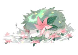 shaymin from pokemon by np (0wzsyvlnp78)