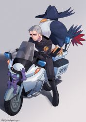 honchkrow from pokemon