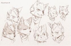 fox mccloud from star fox