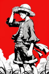monkey d. luffy from one piece