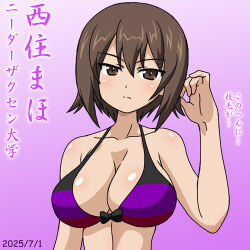 nishizumi maho from girls und panzer by nanashiro gorou