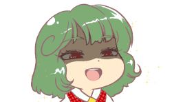 kazami yuuka from touhou