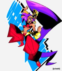 shantae fan art