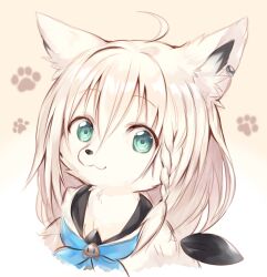 shirakami fubuki from hololive by sukemyon